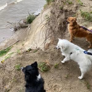 Meet your Posher, Kara